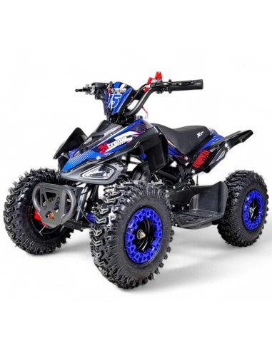 Quads Enfants Et Quads Adultes Tout Pour L Achat Du Quad