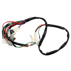 Faisceau électrique complet pour YAMAHA PW 50